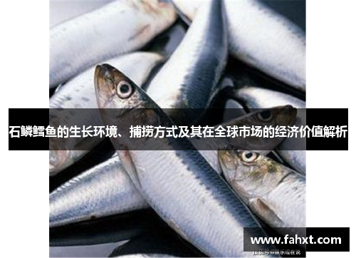 石鳞鳕鱼的生长环境、捕捞方式及其在全球市场的经济价值解析