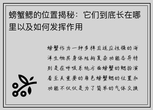 螃蟹鳃的位置揭秘：它们到底长在哪里以及如何发挥作用